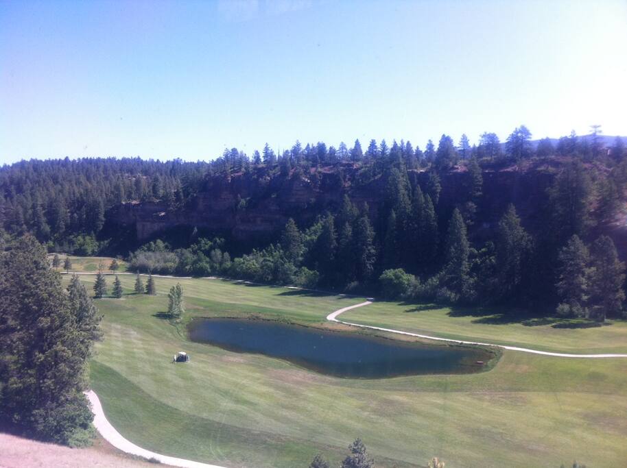 Living room view of golf course.