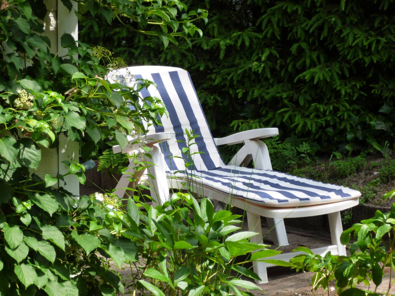 Heerlijk vakantiehuis diever, aan de bosrand! huizen te huur in ...