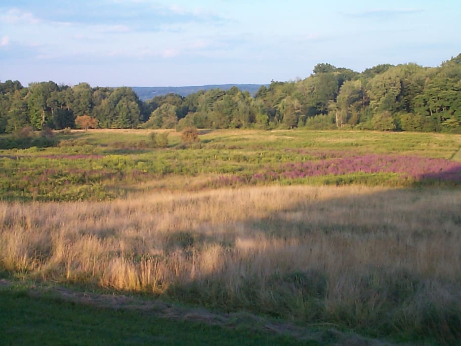 Lovely country house; stunning view Houses for Rent in Ulster Park