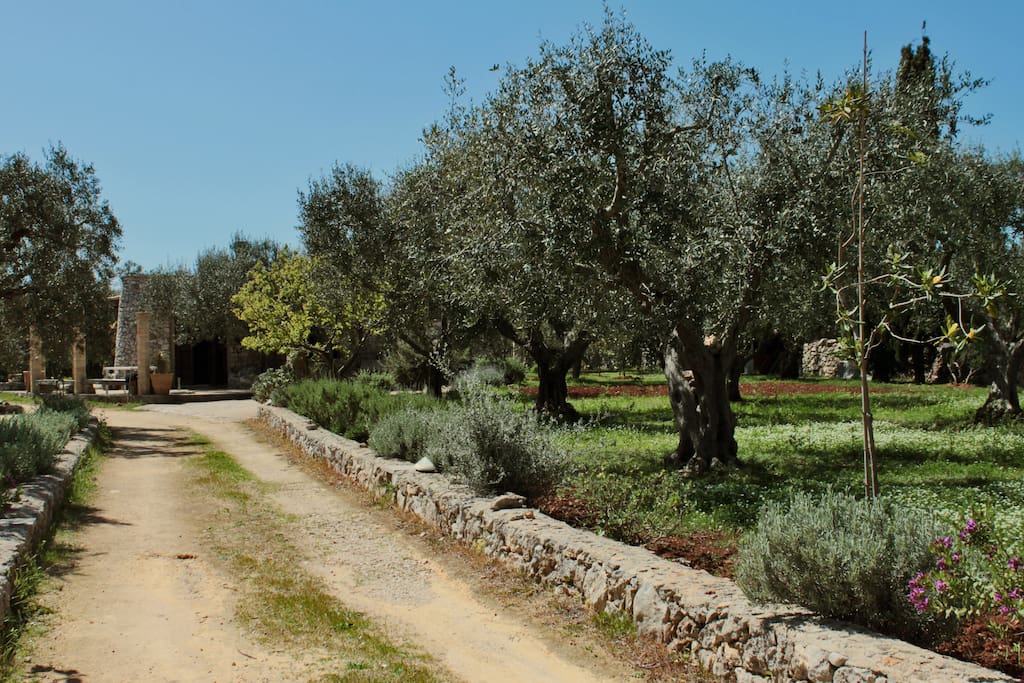 entrance in the property