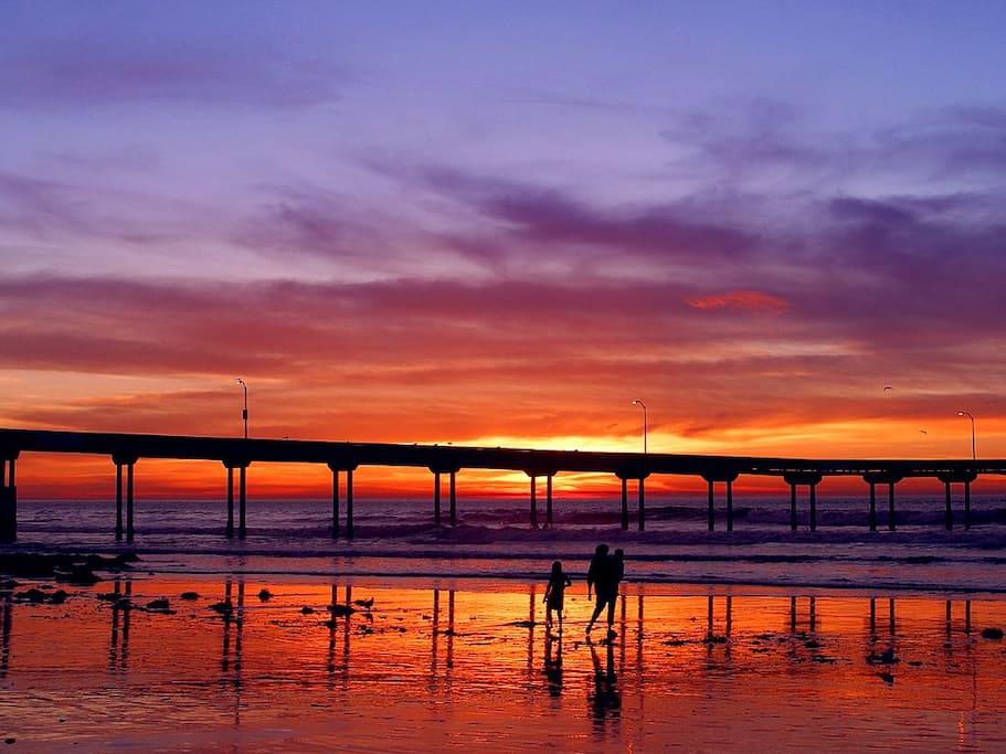 Walk To Beach And Sea World Houses For Rent In San Diego