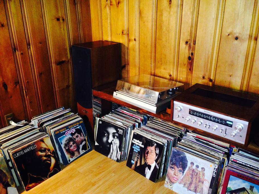 Pudding Pad Lake House Houses for Rent in Putnam Valley