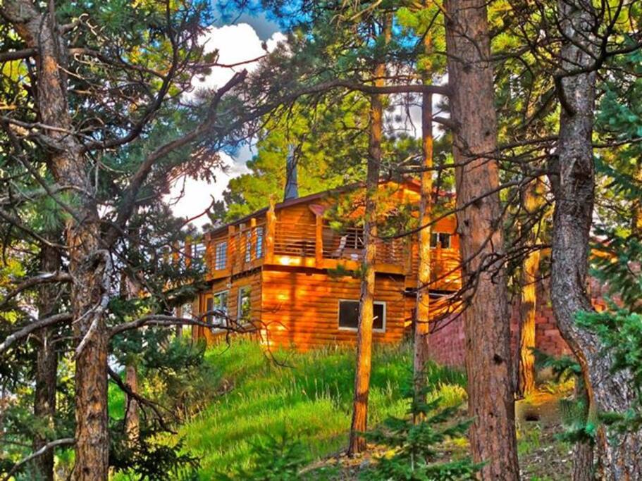 Fawn Haven Cabin Bailey, Colorado Houses for Rent in Bailey
