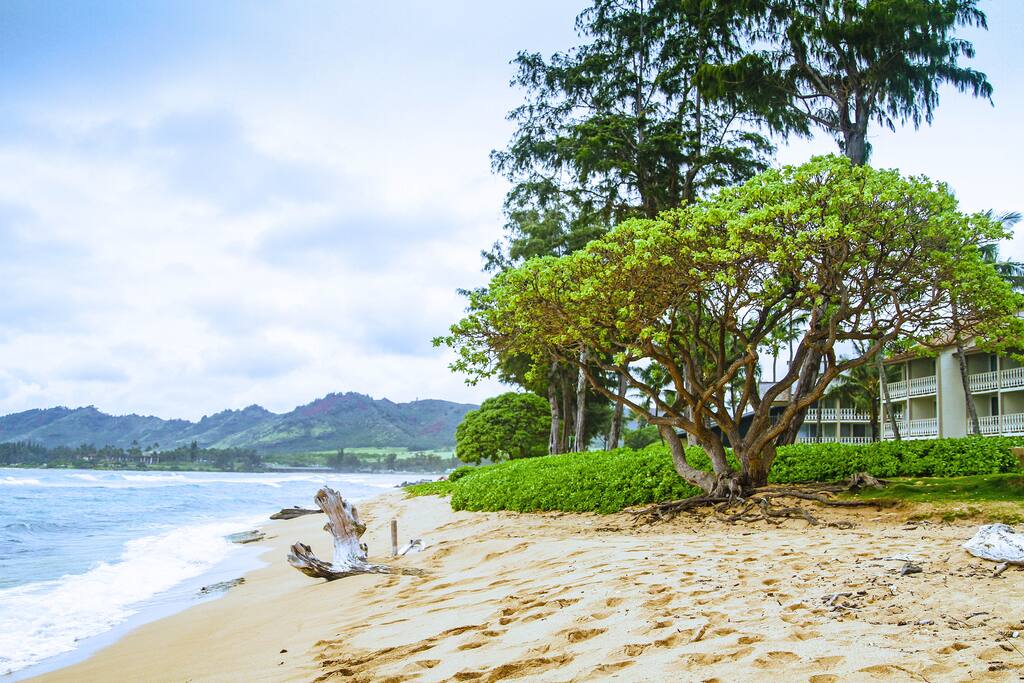 Direct Oceanfront Top Floor Studio Apartments for Rent in Kapaa