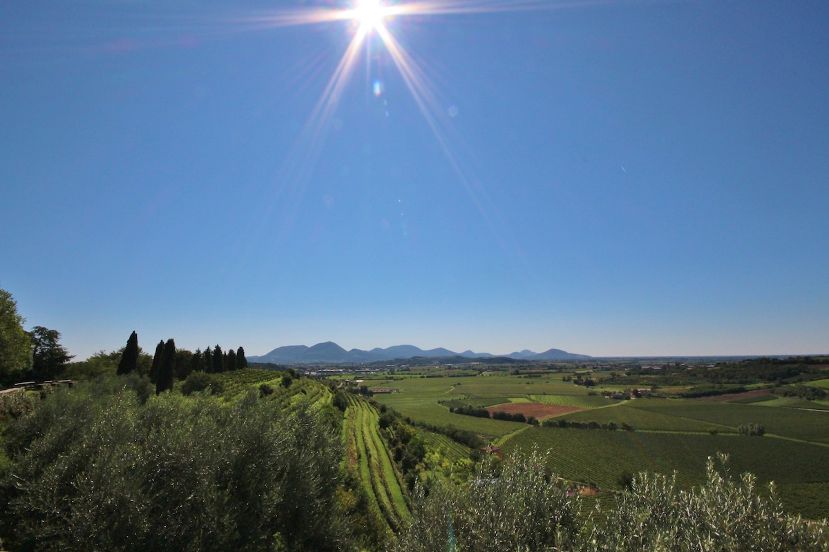 Castello Di Barbarano B&B - Bed & Breakfasts For Rent In Barbarano ...