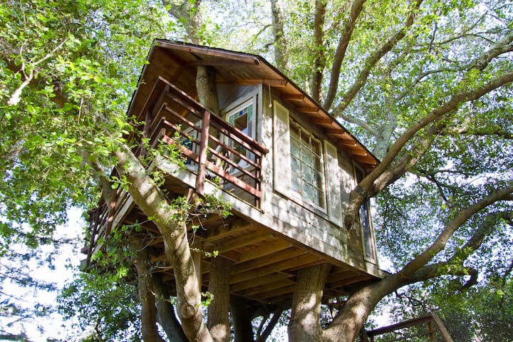 Treehouse Above San Francisco Bay! - Casa sull'albero