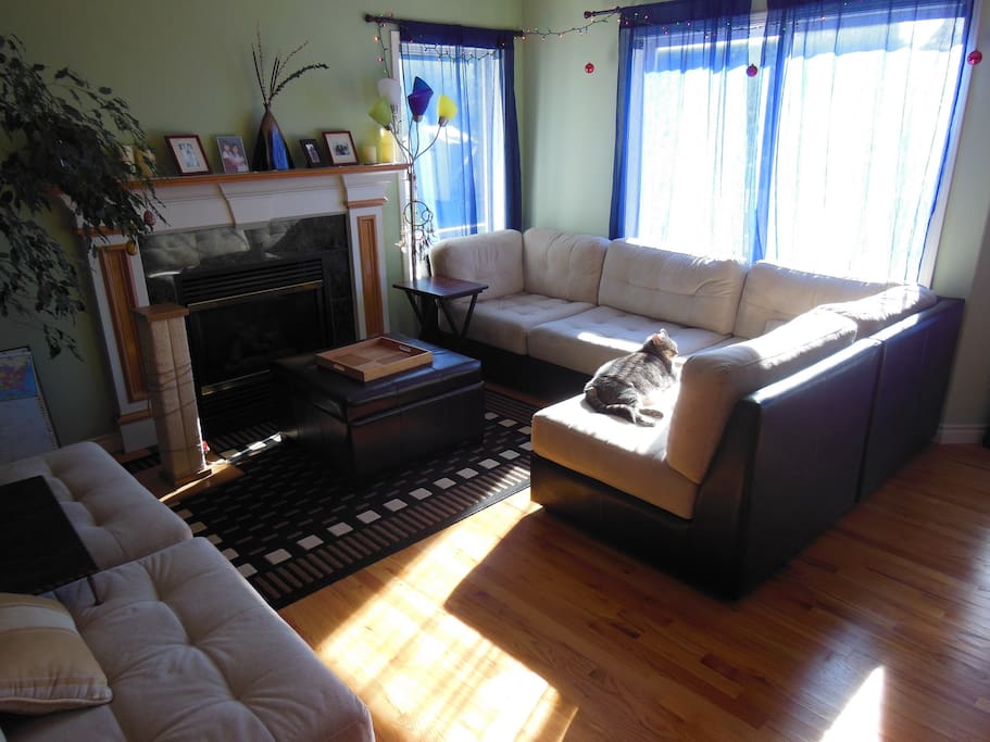 Rooms To Go Mattress Exchange Policy Rooms To Go Mattress Exchange Policy