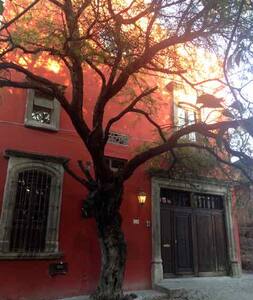 Long Term Apartment Rentals In San Miguel De Allende Mexico Long Term Apartment Rentals In San Miguel De Allende Mexico