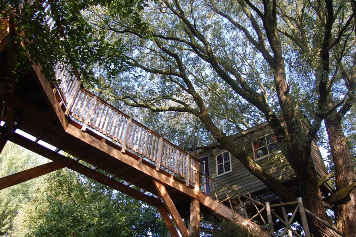 De top 20 boomhutten om te huren in noord holland airbnb ...