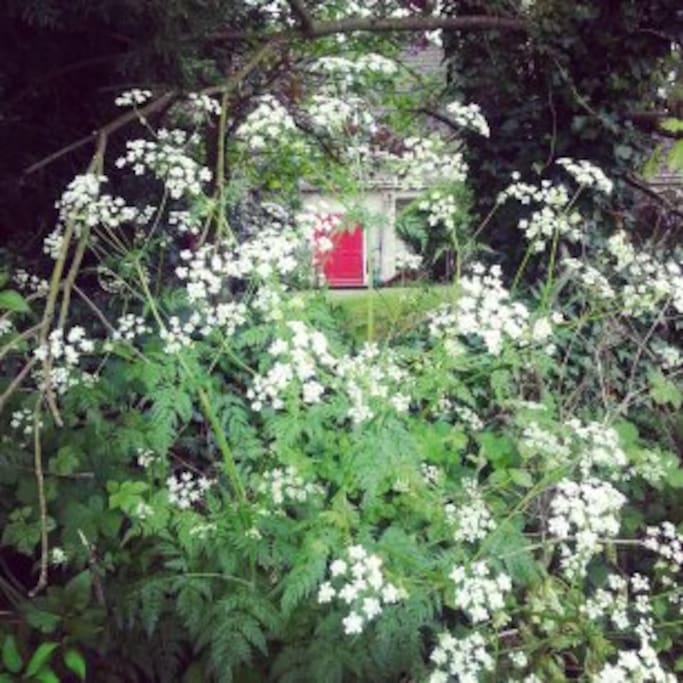 Look out for the Red Door, a welcome awaits.