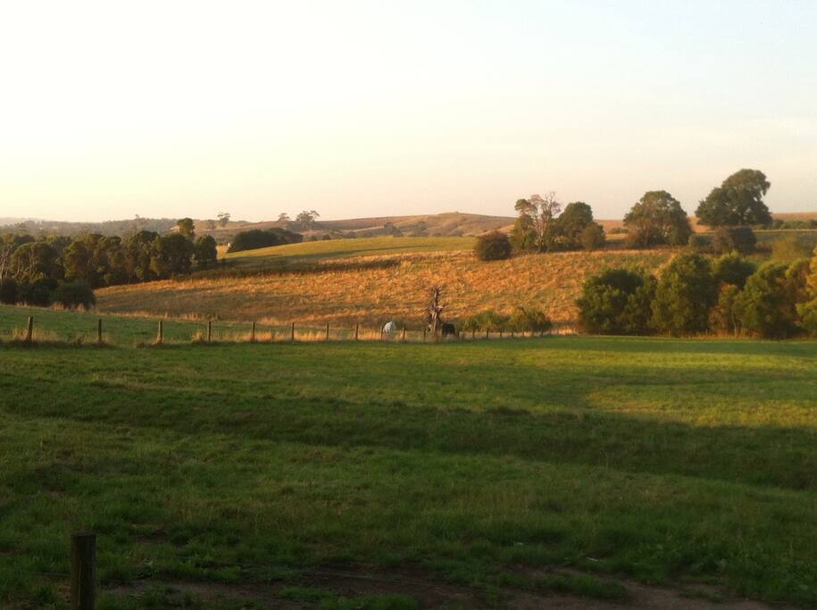 MargesCottage Houses for Rent in Poowong East