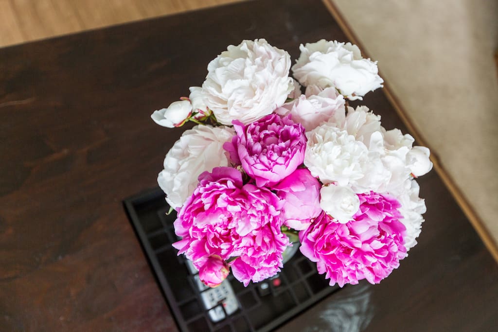 Seattle Alki Beach View Bungalow Houses for Rent in Seattle