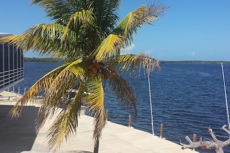 Secret Cove Apartments Lakeland Fl Secret Cove Apartments Lakeland Fl