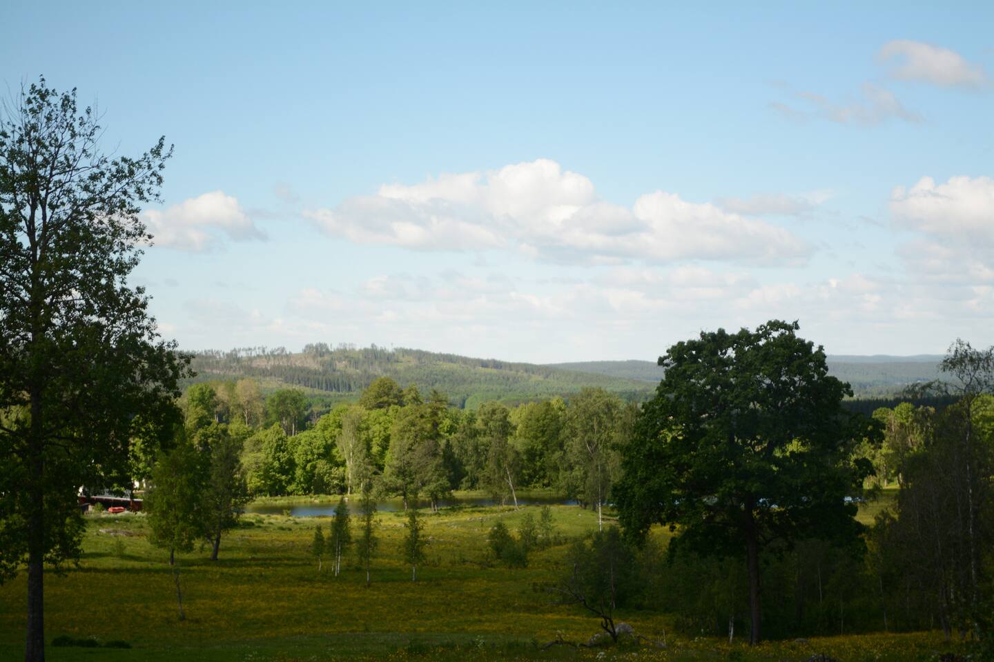 Underbart ekohus i fantastisk natur hus att hyra i hedemora