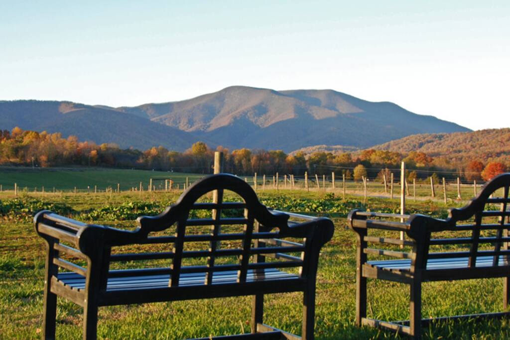 SpectacularView,BreathtakingBeauty! Bed & Breakfasts for Rent in Amherst