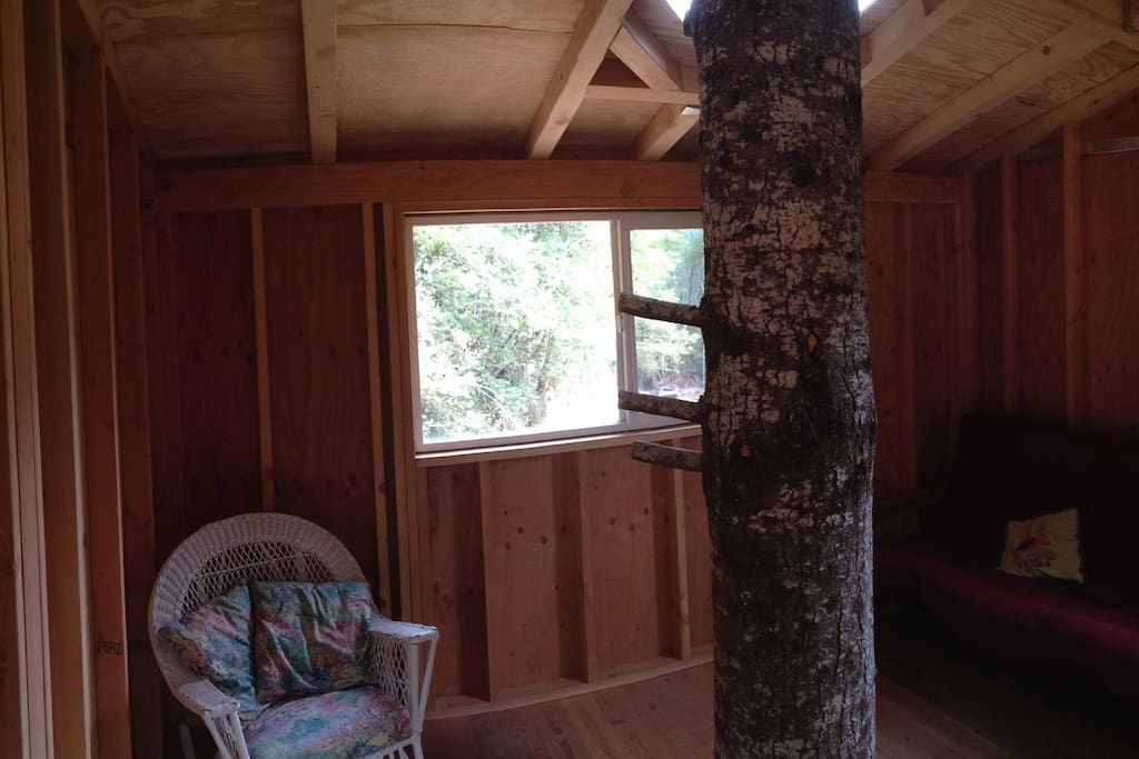 Remote OffGrid Rustic Treehouse Treehouses for Rent in Gasquet