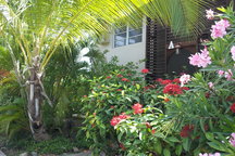 Easy Eastwind Condo