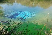 Near Death Valley & Ash Meadows