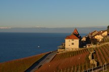 Château avec vue sur Léman et Alpes