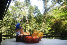 Double Room at Tijuca Rain Forest